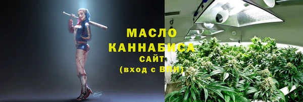 винт Михайлов