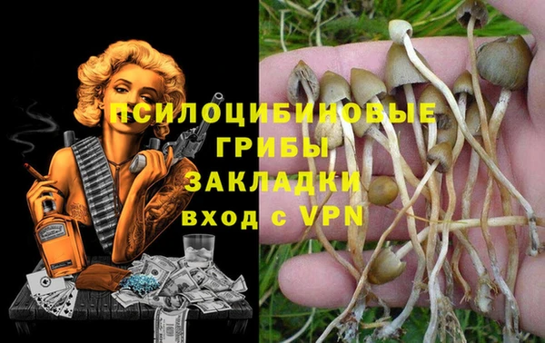 винт Михайлов
