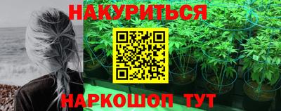 сатива Беслан