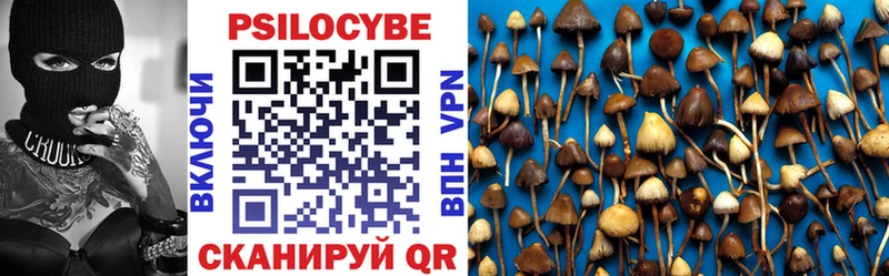 Галлюциногенные грибы ЛСД  Новотроицк 