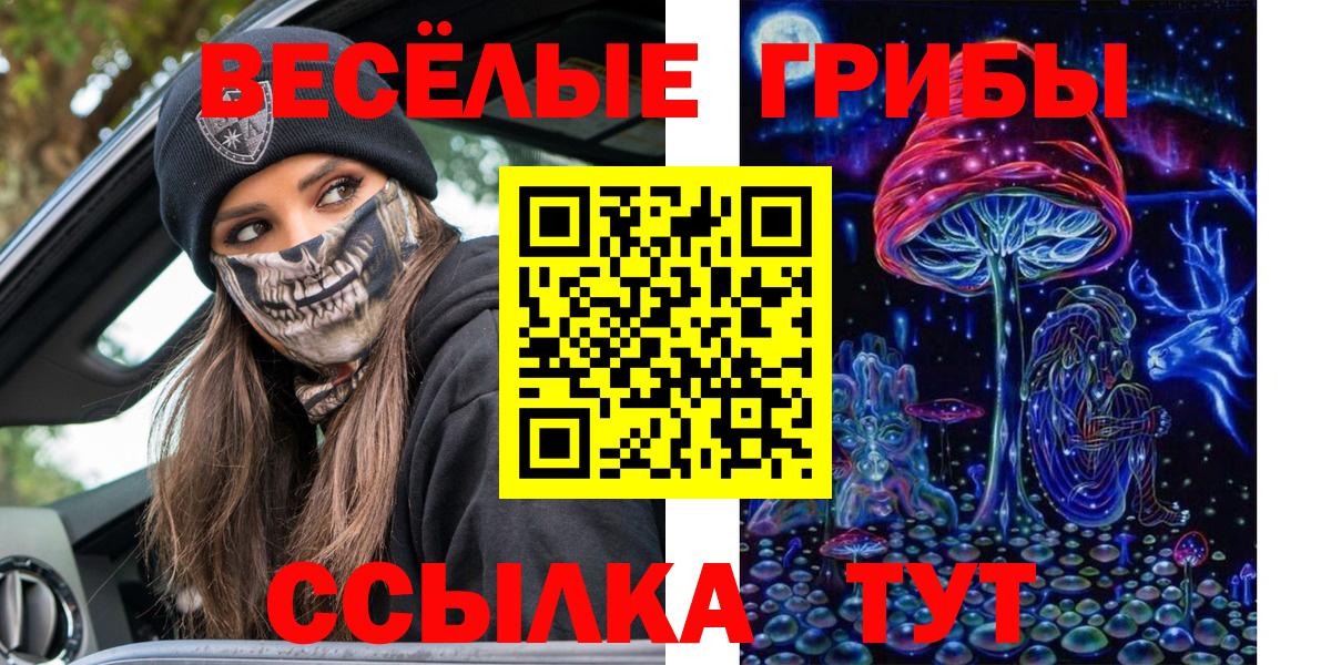 Галлюциногенные грибы GOLDEN TEACHER Новотроицк