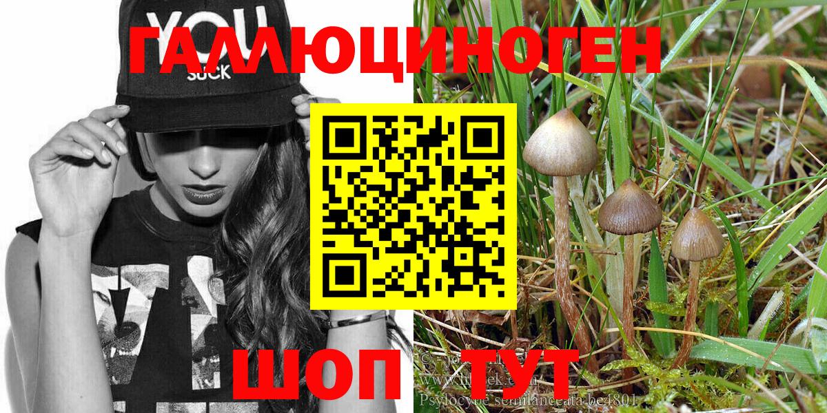 Псилоцибиновые грибы Psilocybe  Псилоцибиновые грибы Magic Shrooms  Вход с VPN  Новотроицк 