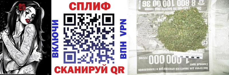Конопля гибрид  Новотроицк 